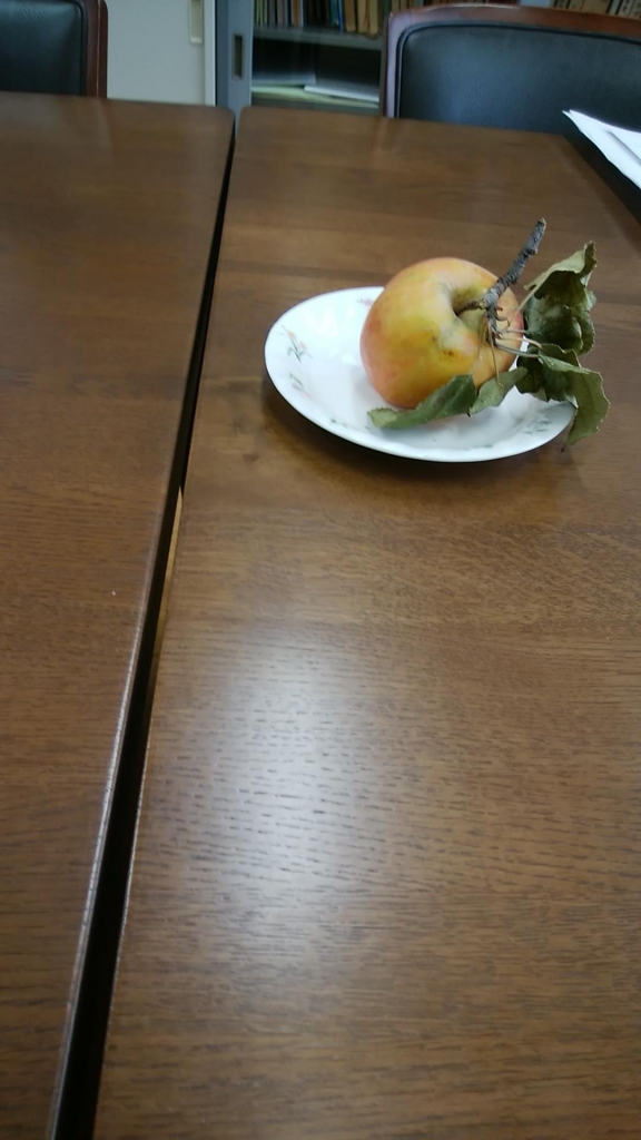 IMG_20181026_093254.jpg