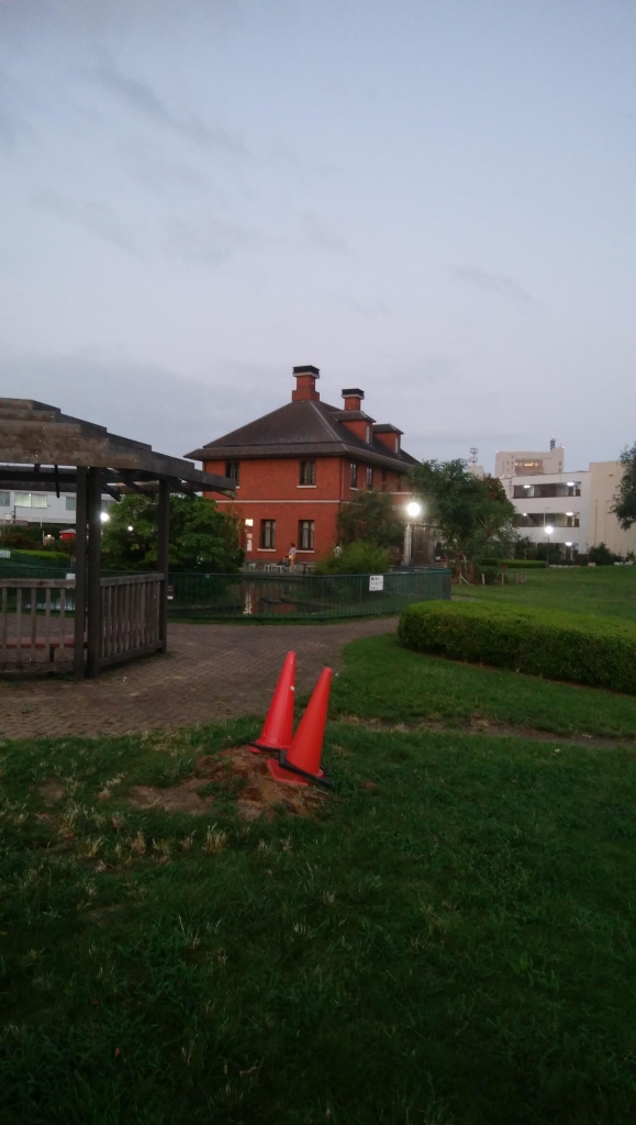 IMG_20190914_180235.jpg