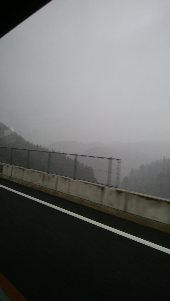 IMG_20200217_115029.jpg