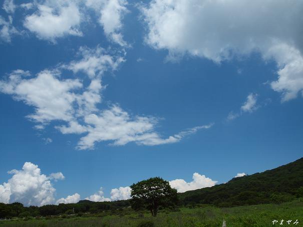 空