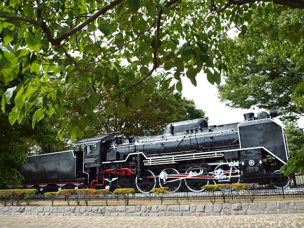 D51