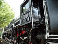 D51885