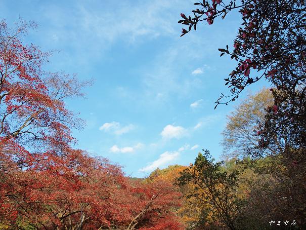 空