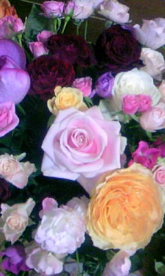 100303_200300.JPG