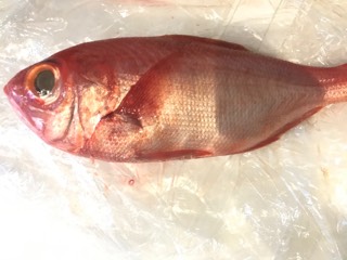 photo.jpg