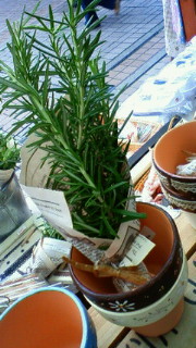 201105261157000.jpg