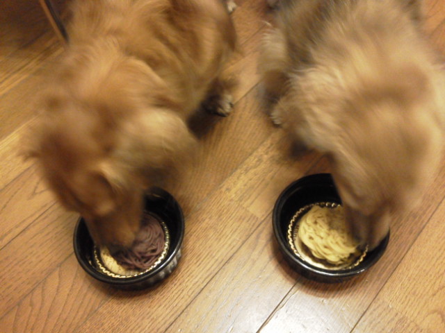 20121114215149.jpg