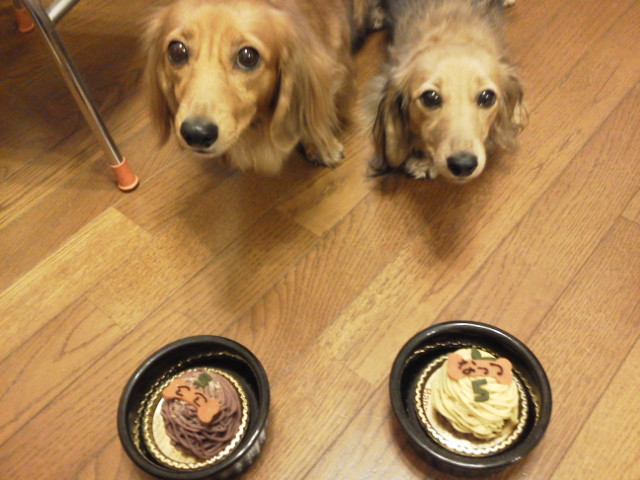 20121114215138.jpg