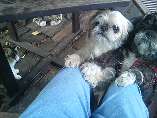 20091019140150.jpg