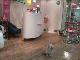 hair dressing room 331