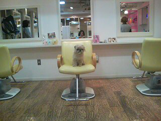 hair dressing room 331