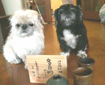 2010052513420000.jpg