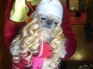 20101210075241.jpg
