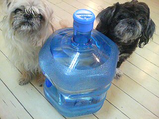 20110324185236.jpg