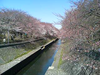 20110404123620.jpg
