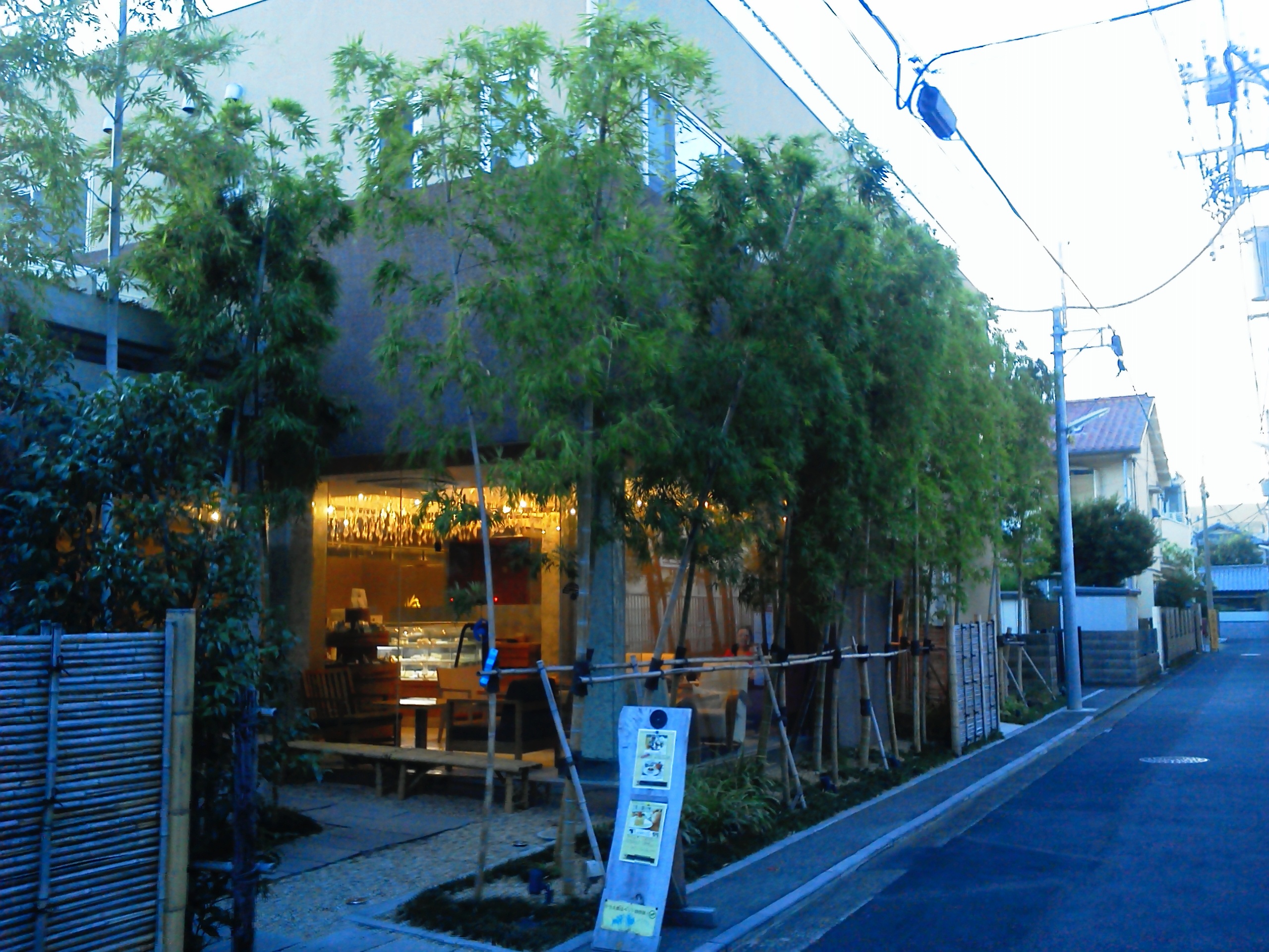 NEC_0124.JPG