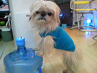 20111226174709.jpg
