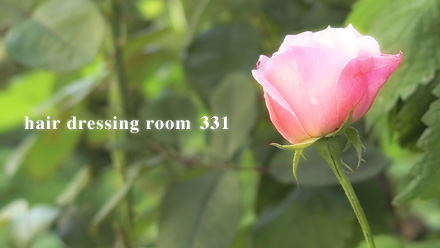 hair dressing room 331