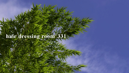 hair dressing room 331