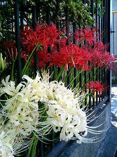 071006_095320.JPG