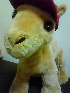 201006132324000.jpg