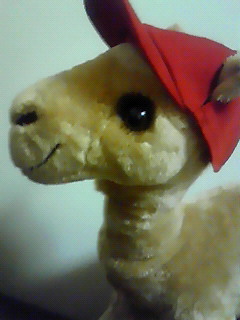 201006132325000.jpg