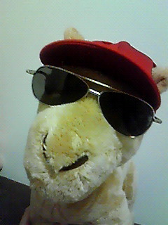 201006132327000.jpg