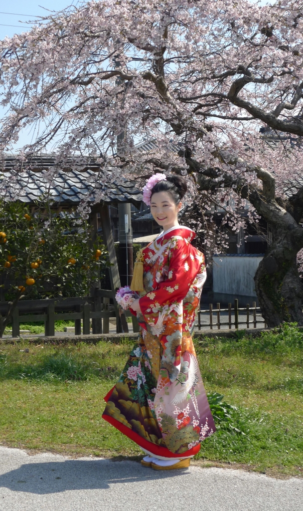 桜の下で