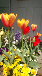 160329_102944.jpg