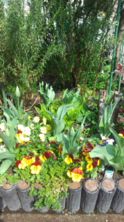 170329_101151.jpg