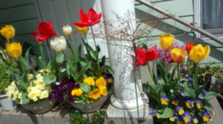 170412_095355.jpg