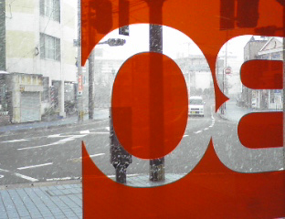 雪ですよ!