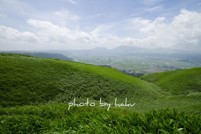 名称未設定-8991-s.jpg