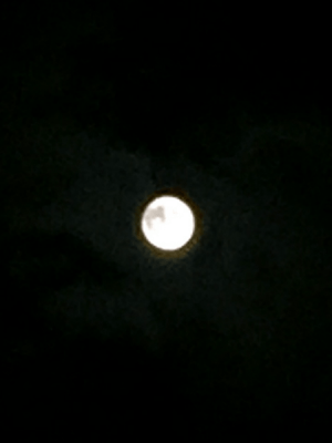 2015101409