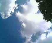 200509291402000.jpg