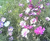 200509291345000.jpg