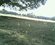 200509291443000.jpg