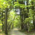 20060610_183804.jpg