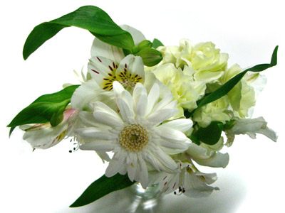 頂いたお花
