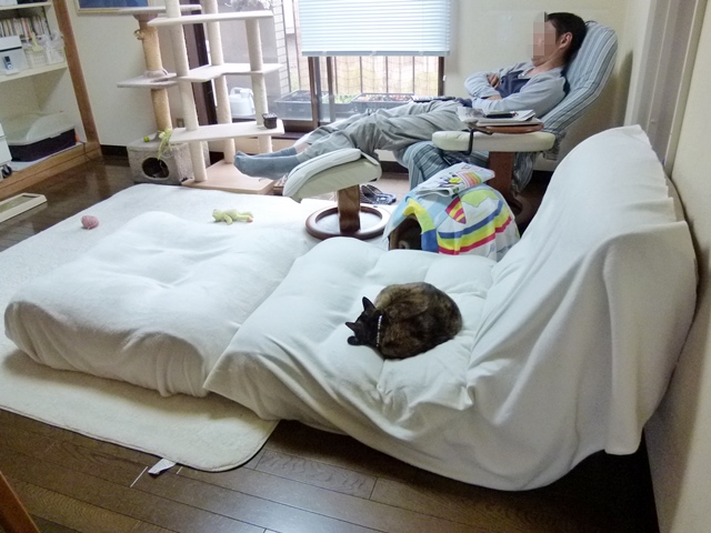 ソファ なし 座 椅 子