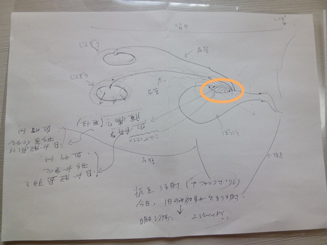 2013.11.17 (3).JPG