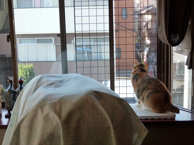 20-2013.11.18 (72).JPG