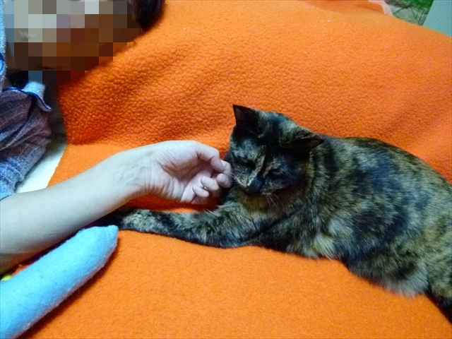 20-2013.11.18 (19).JPG