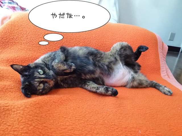 22-2013.11.22 (22).JPG