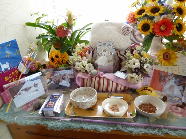 24-2014.12.20 (11).JPG