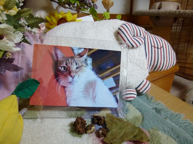 24-2014.12.20 (19).JPG