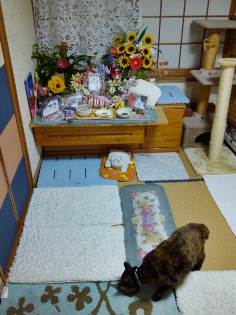 24-2014.12.20 (27).JPG