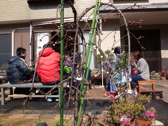 16-2014.02.15 (12).JPG