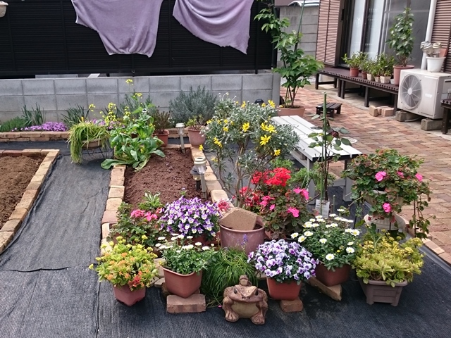 10-2015.04.16 (11).JPG