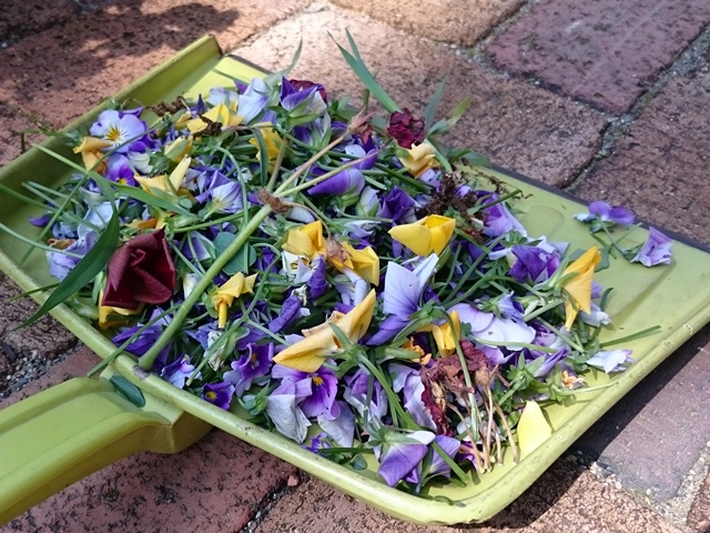 10-2015.04.27 (19).JPG